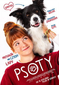 Шалости